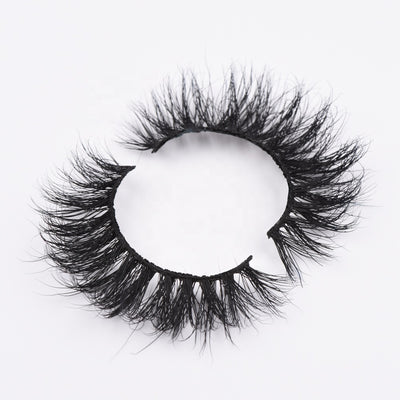 Eyelash Vendors Kit